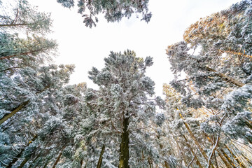snowy winter mountain landscape