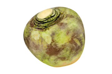 1 ganze Steckrübe und Hintergrund transparent