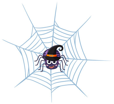 Spider on spiderweb isolated cartoon
