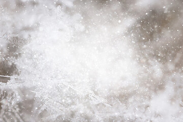 ice snow crystals background abstract white winter