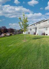 Fototapeta premium Vertical White puffy clouds Field outside the residential townhouse building at Utah Valley