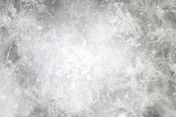 ice snow crystals background abstract white winter