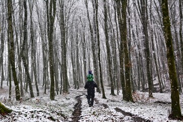 Majestic winter landscape. frosty tree and a snowy path. Christmas holiday concept, winter background. Walking father and son.