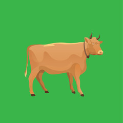 brown bull cow on a green background