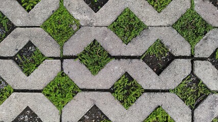 geometric grass block or paving block