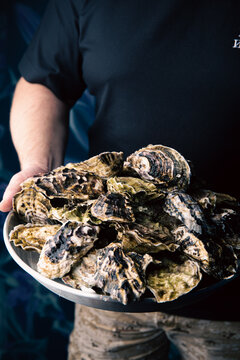 The chef holds in his hands an assortment of closed oysters
