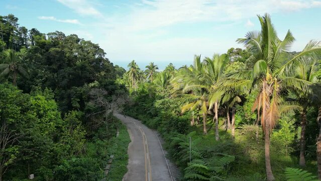 Aerial view of countryside road With lush greenery and tropical rainforest .