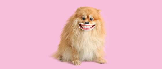 Cute smiling dog with human lips on pink background