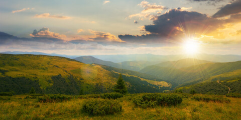 carpathian mountain range in summer at sunset. landscape with forested hills and grassy meadows...