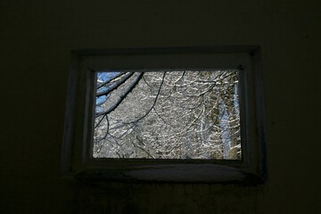 Blick durch Fenster auf Winterlandschaft