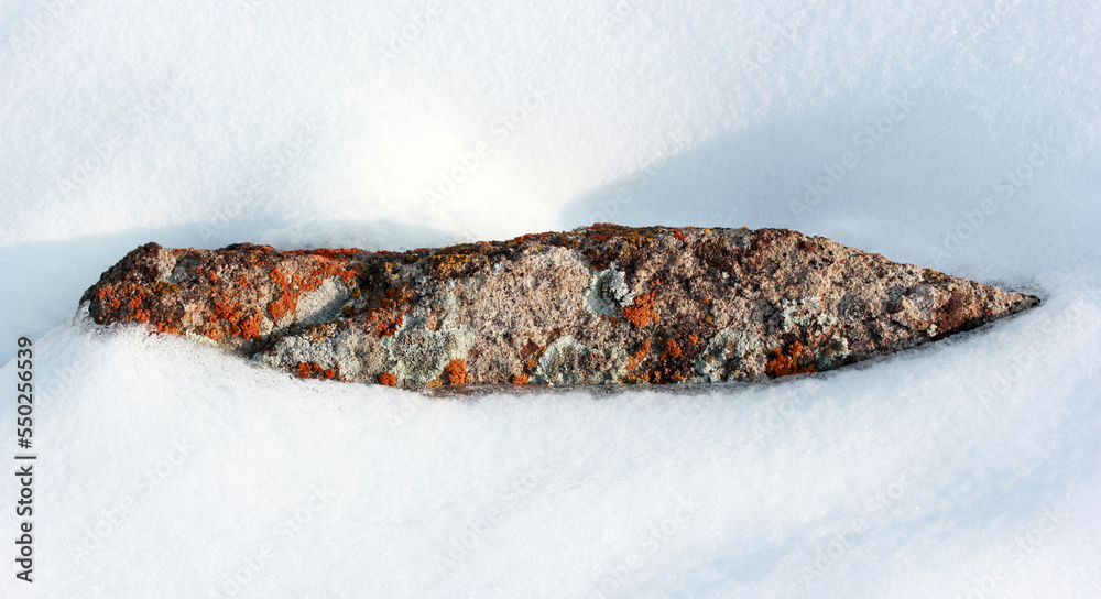 Poster  a rock with lichen on the snow