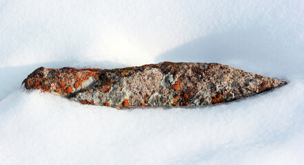  a rock with lichen on the snow