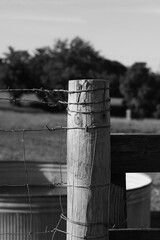 Naklejka premium Typical wooden fence post in grayscale.