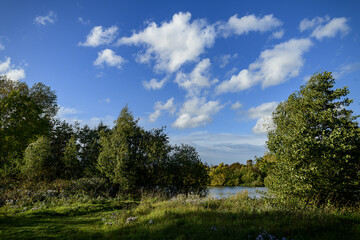 Treeton Dyke, trees and sky