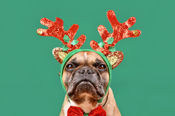 French Bulldog dog wearing Christmas reindeer antler headband in front of green background