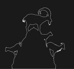 Mountain alps goats on rock line contour vector silhouette illustration isolated. Wild animal symbol. Ibex goat couple, male and female with goatling. Wildlife animal goat family on top of the hill.