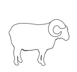 sheep vinyl vector illustration