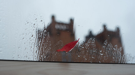 raindrops and a leaf on the window