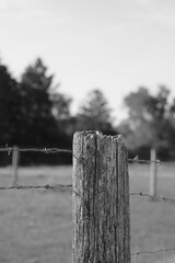 Typical wooden fence post in grayscale.