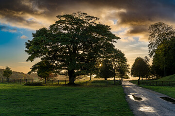 Wentworth Woodhouse, sunset in the park