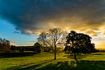 Fototapeta na wymiar Wentworth Woodhouse, sunset in the field