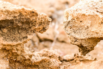 Mediterranean Rock Closeup