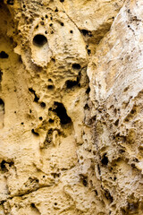Mediterranean Rock Closeup