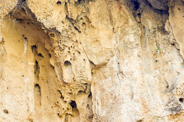 Mediterranean Rock Closeup