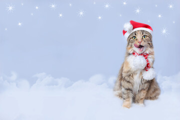 Fairy Cat sits on white clouds and licks its lips. Magical cat in a Santa Claus hat with open mouth. Funny Santa Claus. Kitten on the white background. Web banner with copy space. Xmas. Stars. 2023
