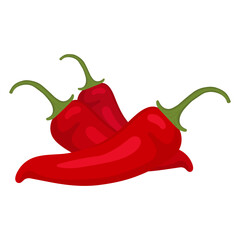 Red hot chili pepper. Vector illustration of red chili pepper. Isolated image of chili pepper.