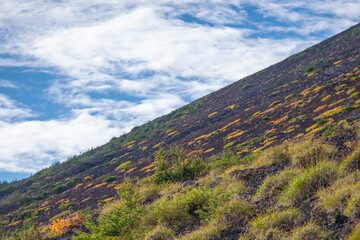 Fototapeta premium 富士山６合目