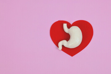 Treatment of stomach diseases. World Digestive Health Day. Copy space.