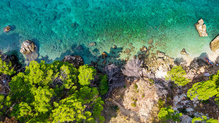 Fototapety na wymiar - Fototapeta24.pl