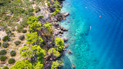 Fototapety na wymiar - Fototapeta24.pl