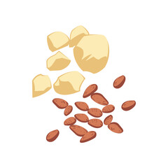 Bunch of cacoa beans for chocolate cartoon illustration. Ingredients of sweet chocolate dessert isolated on white background. Restaurant, nutrition concept.