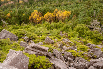 白駒池　高見石
