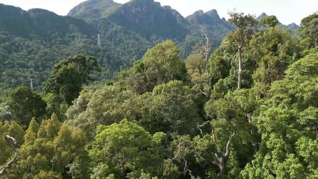 Aerial shot of mountains and jungle in Langkawi Kedah with cable car towers