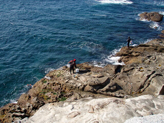 Looking down the sunny blue sea and rock surf fishing point (Nanki Shirahama-cho)