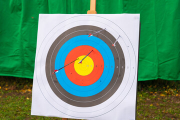 Archery target with several stuck arrows on a green background