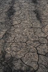 a field cracked from a summer drought