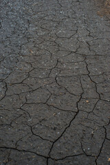 a field cracked from a summer drought