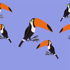 Horizontal stylized colored toucans.  Hand drawn.