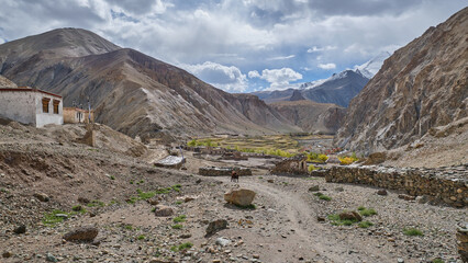 Upper Hankar village in Markha valley, Ladakh