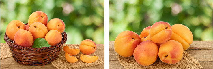 apricot fruit in Wicker basket on wooden table with blurred garden background. Clipping path