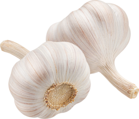 Garlic isolated