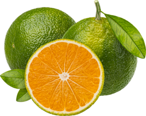 Green tangerine isolated