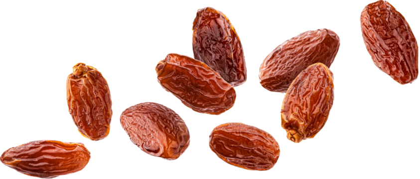 Dried dates isolated