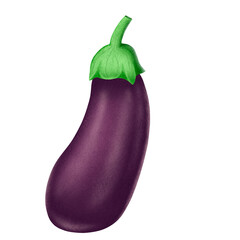 Eggplant isolated on transparent background 