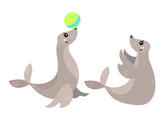 Cute comic seals playing with ball together vector illustration. Seal cartoon characters having fun with toy isolated on white background. Wildlife, entertainment, animals, nature concept