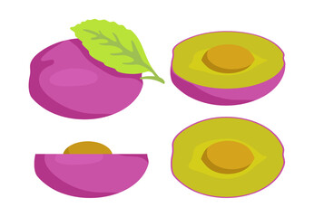 Half of plum from different angles vector illustrations set. Collection of cartoon drawings of different views of cut fruit with seed isolated on white background. Organic food, nature, diet concept
